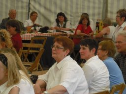 Schützenfest 2011